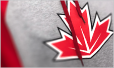 Promotional hoody with the Team Canada logo printed on the chest. The sleeves are red and the body grey